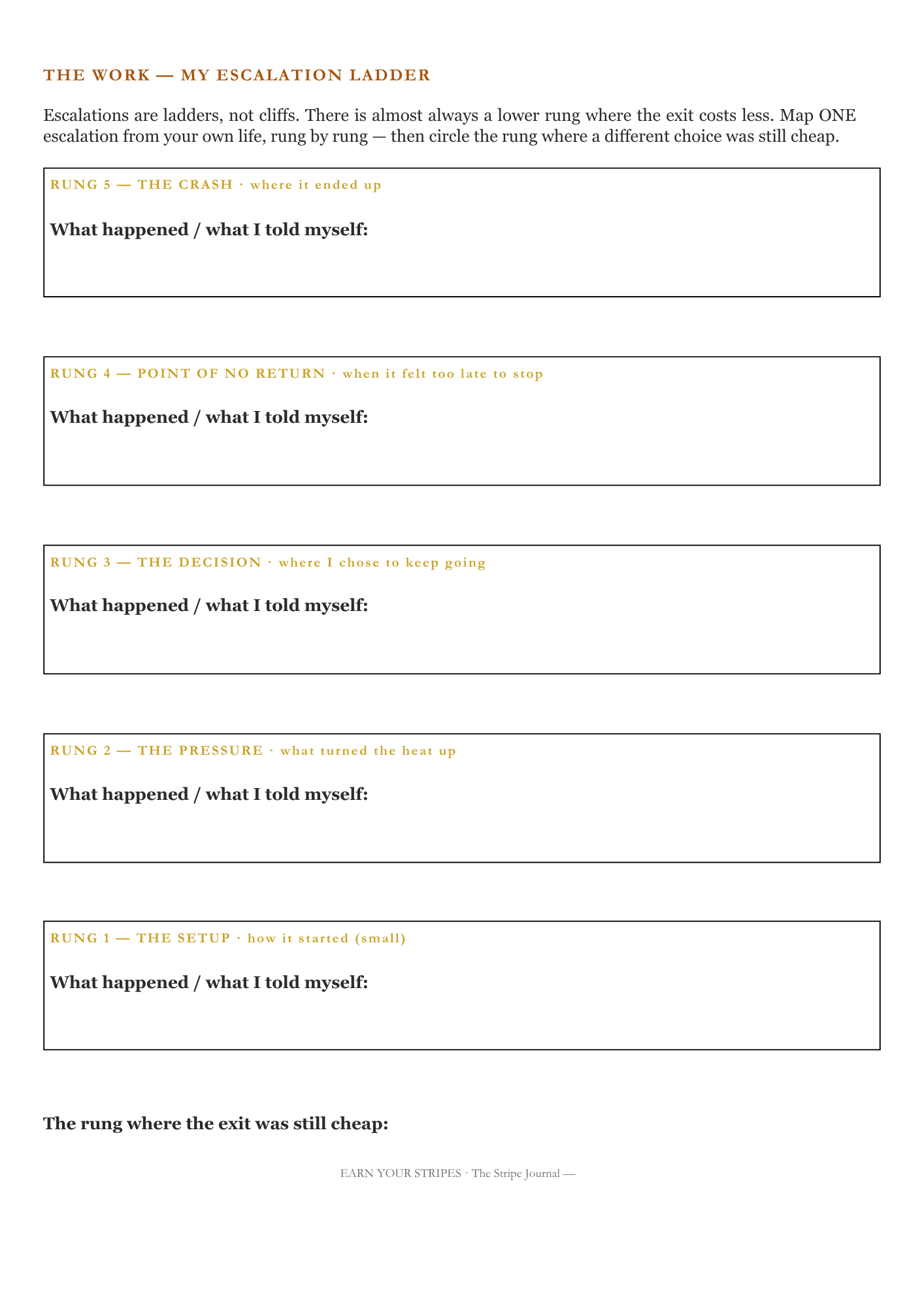 STRIPES: Participant Workbook & Portfolio