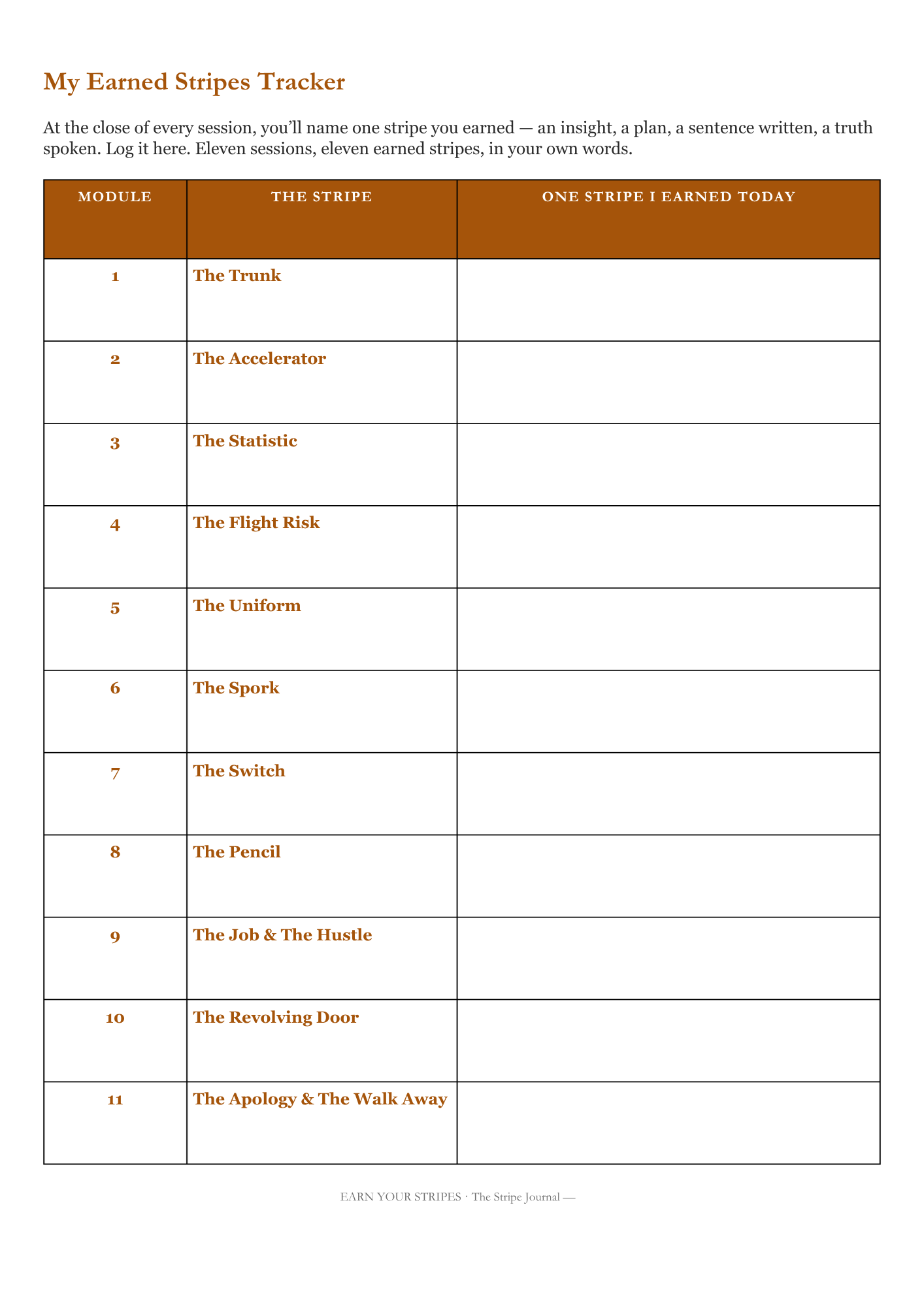 STRIPES: Participant Workbook & Portfolio