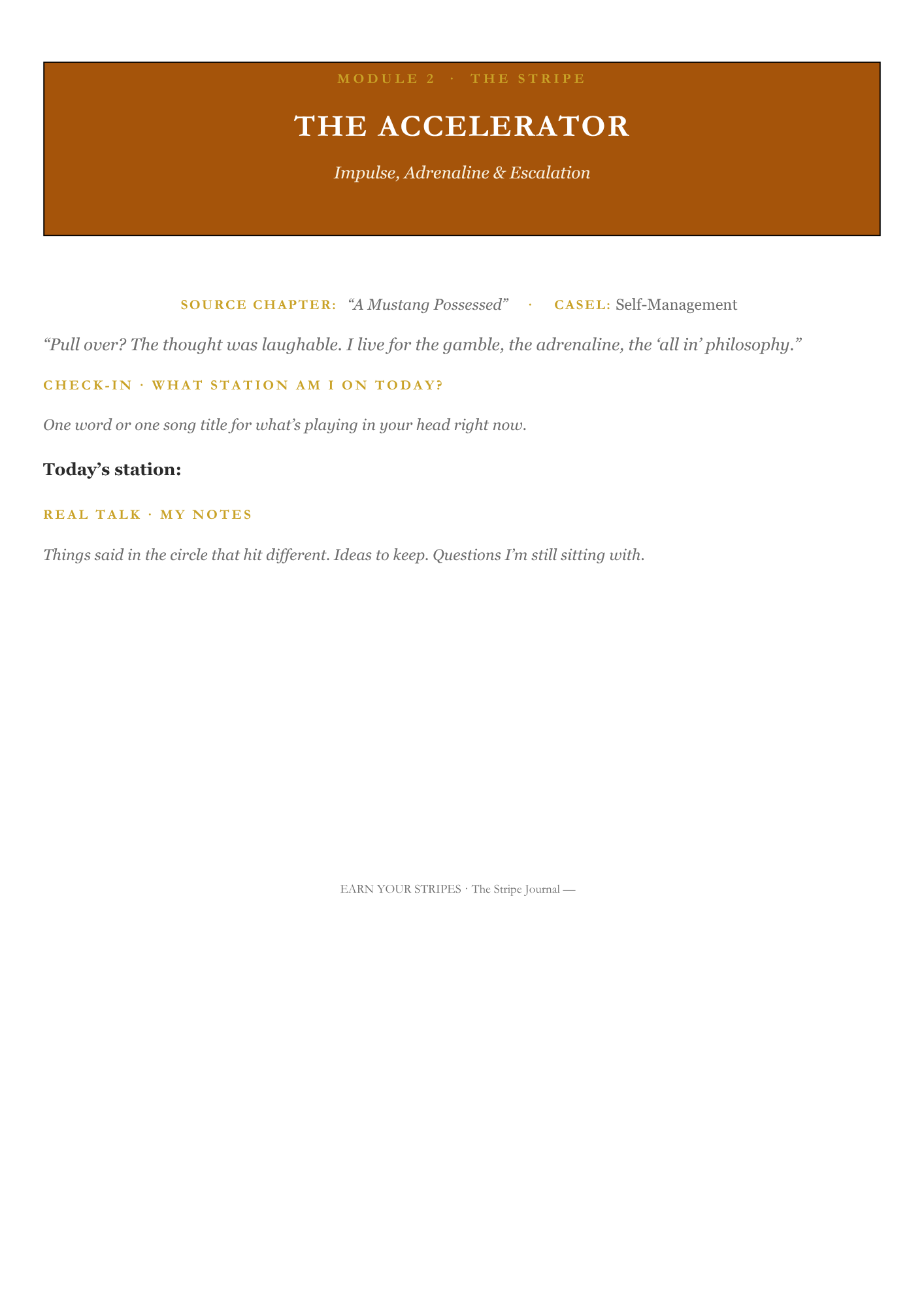 STRIPES: Participant Workbook & Portfolio